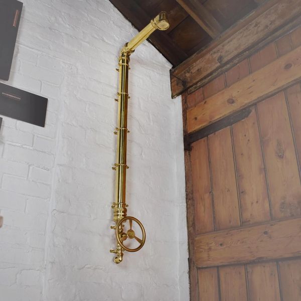  Sen cây gắn tường ngoài trời chỉ có nước lạnh bằng đồng thau (brass) - Protit 