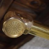  Sen cây gắn tường ngoài trời chỉ có nước lạnh bằng đồng thau (brass) - Protit 