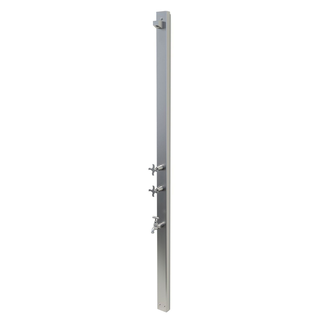  Sen cây ngoài trời gắn tường ss316 marine grade stainless steel - Raau 