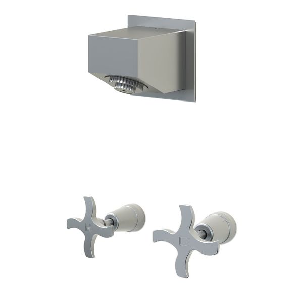  Sen vòi ngoài trời gắn tường ss316 marine grade stainless steel - Ramia00 