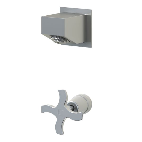  Sen vòi ngoài trời gắn tường chỉ nước lạnh ss316 marine grade stainless steel - Ramia01 