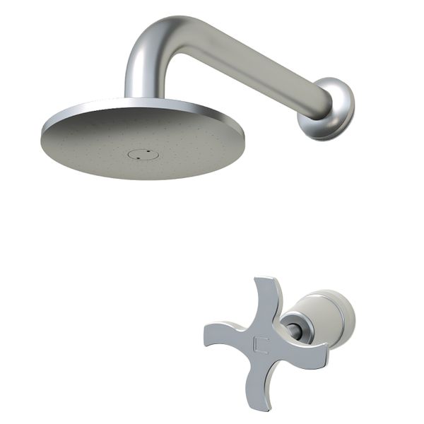  Sen vòi ngoài trời gắn tường chỉ nước lạnh ss316 marine grade stainless steel - Raren01 