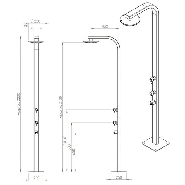  Sen cây ngoài trời ss316 marine grade stainless steel - Rares 