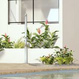  Sen cây ngoài trời ss316 marine grade stainless steel - Rasun 