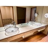  Chậu Lavabo Pha Lê Dilos Empire Platinum ∅450mm 