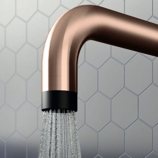  Bát sen phun mưa gắn tường Bud Ø10mm phong cách spa Radomonte Wellness stainless steel - SPN1 