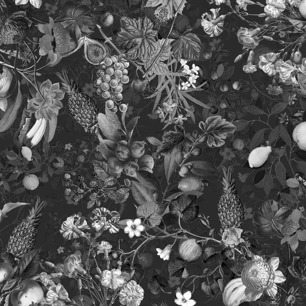  Giấy dán tường Botanica Black&White 