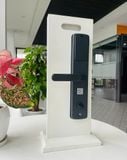 Khóa cửa thông minh VD501 