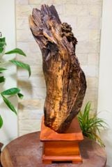 Tượng Phật - Đạt Ma Ngồi Thiền Kích Thước C73-S25-N43 Gỗ Lũa Bách Xanh