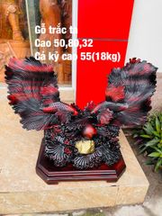Tượng Linh Vật - Tượng Gỗ Cá Xiêm Kích Thước C50-S32-N80 Gỗ Trắc