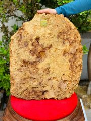 Tượng Phật - Diện Phật Kích Thước C52-S10-N42 Gỗ Nu Nghiến