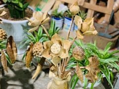 Bình Hoa Sen Gỗ Ngọc Am 11 Cành