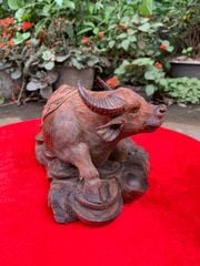 Tượng Linh Vật - Trâu Tài Lộc Gỗ Trắc Đỏ Đen Ngang 30cm