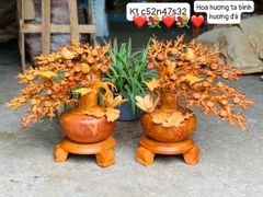 Tượng Phong Thuỷ - Bình Mai Phú Quý Cao 52cm - Gỗ Hương Ta