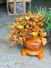 Tượng Phong Thuỷ - Bình Mai Phú Quý Cao 52cm - Gỗ Hương Ta