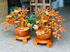 Tượng Phong Thuỷ - Bình Mai Phú Quý Cao 52cm - Gỗ Hương Ta