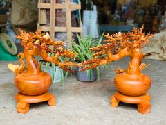 Tượng Phong Thuỷ - Bình Mai Phú Quý Cao 52cm - Gỗ Hương Ta