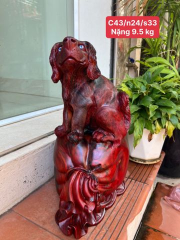 Tượng Linh Vật - Cún Ngồi Bao Tiền To Đẹp Gỗ Trắc Việt Liền Khối KT Cao43. N24.s33