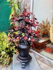 Tượng Phong Thuỷ - Bình Hoa Mai Gỗ Trắc Ta Đỏ Đen Kích Thước Cao 69cm, Rộng 42cm, Sâu 35cm