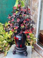 Tượng Phong Thuỷ - Bình Hoa Mai Gỗ Trắc Ta Đỏ Đen Kích Thước Cao 69cm, Rộng 42cm, Sâu 35cm