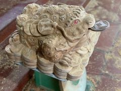 Tượng Cóc Thiềm Thừ Gỗ Ngọc Am Ngang 42cm