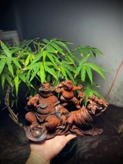 Tượng Cóc Thiềm Thừ Gỗ Trắc Liền Khối - Quan Tổng Cóc
