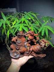 Tượng Cóc Thiềm Thừ Gỗ Trắc Liền Khối - Quan Tổng Cóc