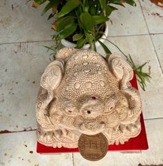 Tượng Cóc Thiềm Thừ Gỗ Ngọc Am Kích Thước Cao 32cm, Sâu 31cm, Ngang 38cm