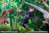 Zenin Maki 1/7 - Jujutsu Kaisen | Alpha Satellite eStream Figure
