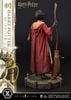 Harry Potter - Prime Collectible Figures PCFHP-01 - 1/6 - Quidditch ( Prime 1 Studio ) Figure