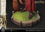 Harry Potter - Prime Collectible Figures PCFHP-01 - 1/6 - Quidditch ( Prime 1 Studio ) Figure