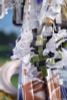 ShuShu 1/7 Scale - Arknights | Myethos Figure
