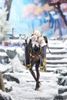 Blanc White Rabbit Ver 1/7 - Goddess of Victory Nikke | Good Smile Arts Shanghai Figure