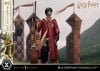 Harry Potter - Prime Collectible Figures PCFHP-01 - 1/6 - Quidditch ( Prime 1 Studio ) Figure