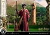 Harry Potter - Prime Collectible Figures PCFHP-01 - 1/6 - Quidditch ( Prime 1 Studio ) Figure