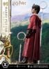Harry Potter - Prime Collectible Figures PCFHP-01 - 1/6 - Quidditch ( Prime 1 Studio ) Figure