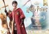 Harry Potter - Prime Collectible Figures PCFHP-01 - 1/6 - Quidditch ( Prime 1 Studio ) Figure