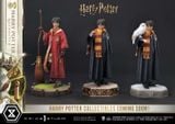Harry Potter - Prime Collectible Figures PCFHP-01 - 1/6 - Quidditch ( Prime 1 Studio ) Figure