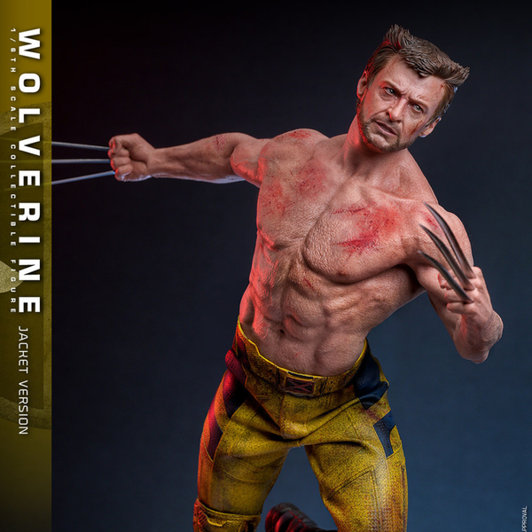 Wolverine TVA Jacket Edition Movie Masterpiece 1/6 - Deadpool & Wolverine | Hot Toys Figure