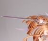 Asuna The Goddess of Creation Stacia Ver. 1/7 - Sword Art Online Alicization War of Underworld | Alter Figure