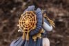 KDcolle Albedo Splendid Kimono ver. 1/7 - Overlord | KADOKAWA Figure