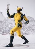 Wolverine S.H.Figuarts - Deadpool & Wolverine | Bandai Spirits Figure