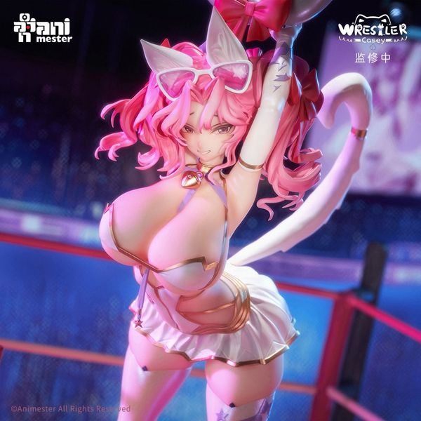 Professional Wrestler Casey 1/6 - Original Character | AniMester Figure