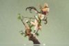 Anu Shen Mu Miao Ying Ver. 1/7 - Chinese Paladin Sword and Fairy | APEX Figure