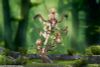 Anu Shen Mu Miao Ying Ver. 1/7 - Chinese Paladin Sword and Fairy | APEX Figure