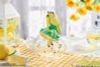 Lemon Cat Original Chibi Figure - Tea Time Cats | Ribose Figure