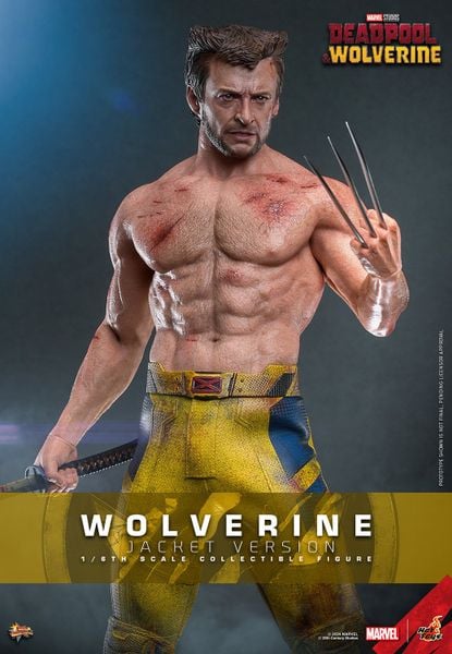 Wolverine TVA Jacket Edition Movie Masterpiece 1/6 - Deadpool & Wolverine | Hot Toys Figure