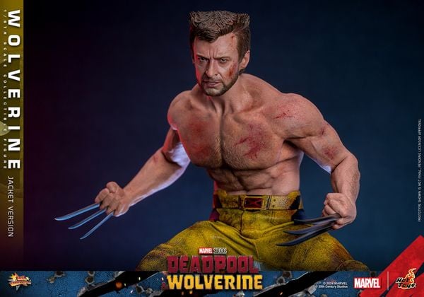 Wolverine TVA Jacket Edition Movie Masterpiece 1/6 - Deadpool & Wolverine | Hot Toys Figure
