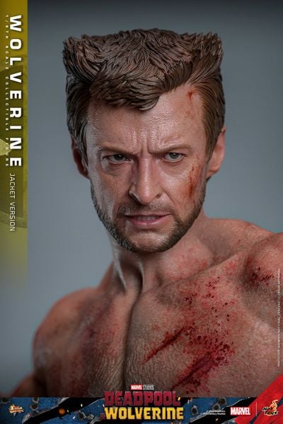 Wolverine TVA Jacket Edition Movie Masterpiece 1/6 - Deadpool & Wolverine | Hot Toys Figure