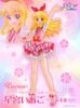 Lucrea Hoshimiya Ichigo Hikaru Mirai Ver. 1/7 Limited Edition - Aikatsu! | MegaHouse Figure